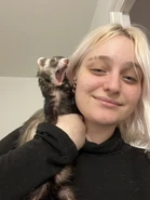 Nihachu and Rhianna's ferret Poohbear