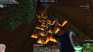 Boomer's perspective while setting fire to the ninth lemon tree