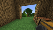 The interior of the first lemon tree base