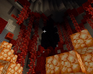 the Egg and obsidian encasing used to imprison members against the Eggpire