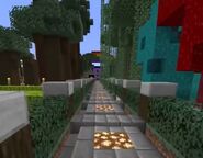 Walkway to the nether portal