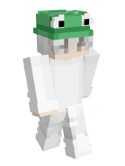 Minecraft skin