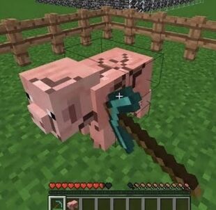 This Cursed Minecraft Video Will Trigger You Dream Team Wiki