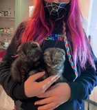Minx and her cats