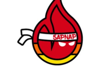 Sapnap Flame hat, Dream Smp Sapnap, Sapnap MCYT gifts, Sapnap r