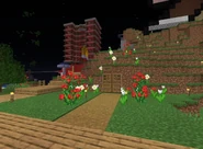 Ranboo's flowers for Tommy