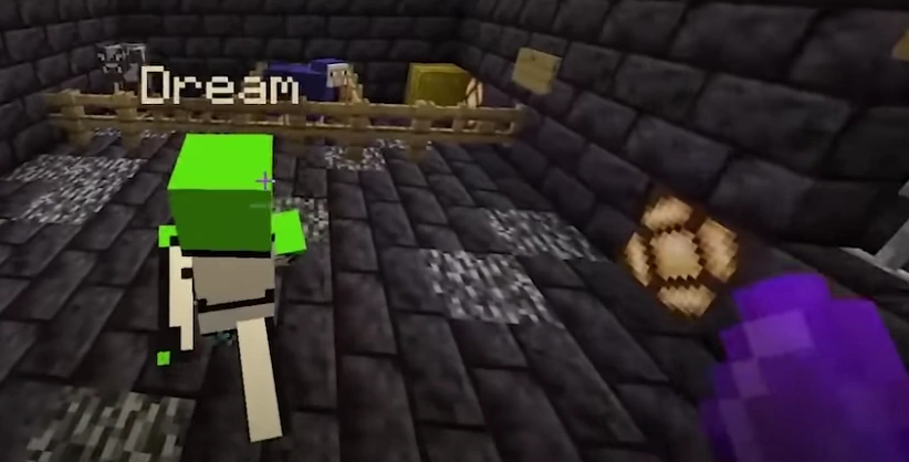 Dream Smp Dream Team Wiki Fandom