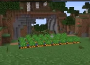 The Carrot Farm.jpg (91 KB) The Carrot Farm:
