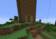 The entrance to the first lemon tree base