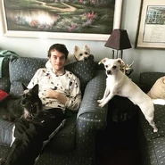 HBomb and his dogs