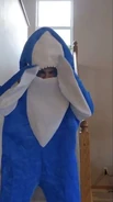Foolish in a shark costume