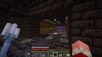 Technoblade TOURS Ranboo's NEW HOUSE on the Dream SMP 