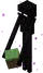 Enderman with Block