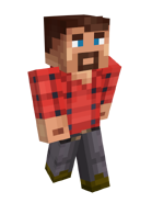 Default skin