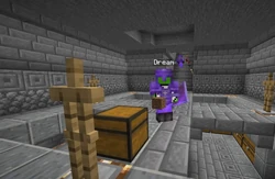 Dream Sapnap Snowchester