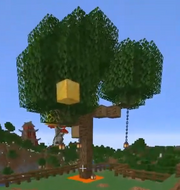 Seventh lemon tree