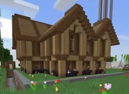 The rebuilt house
