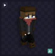 Unused bandit skin