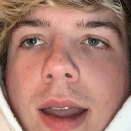 Twitch icon