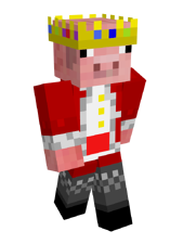 Pink Parrots MCC 12/Technoblade skin