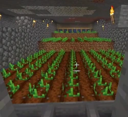 Pogtopia Potato Farm
