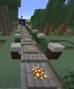 Old nether portal walkway