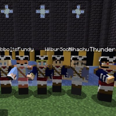 fundy nihachu  Mc skins, Election, Streamers