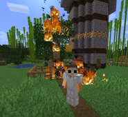 George setting fire to the first small lemon tree
