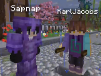Sapnap: O Minecrafter abandonado pela sua própria comunidade (DreamTeam  e DreamSMP) 