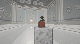 The Wither Rose in the entrance.