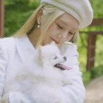 Cherry (Real Miracle)