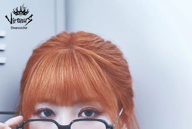 Dreamcatcher Concert CROSSROADS DVD | Dreamcatcher Wiki | Fandom