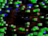 The showcase of unused and final Pit & Temple versions. LSD 1997 DEMO video