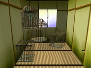 Bird Cages