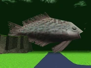 Giant Fish