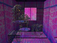 Bird Cages