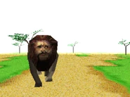 Two lions merged together