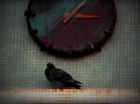 Birds flying around a clock