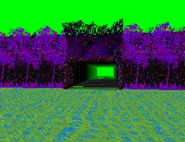 Pit & Temple entrance