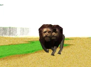 Lions merging together