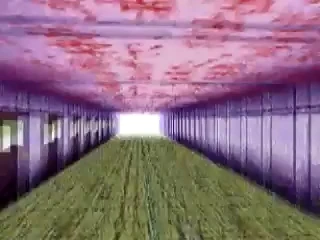 Long Hallway in kanji textures.