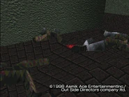 Rare Developer Image