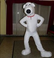 Brian-Homemade-01