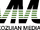 Vmu.png