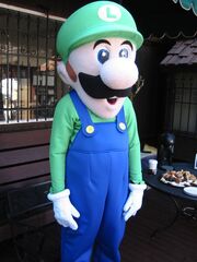 Luigi-KCL-01