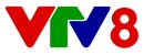 VTV8 logo 2023