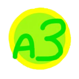 A3