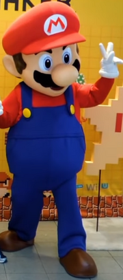 MarioCostume5