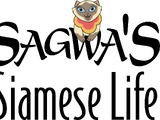 Sagwa's Siamese Life
