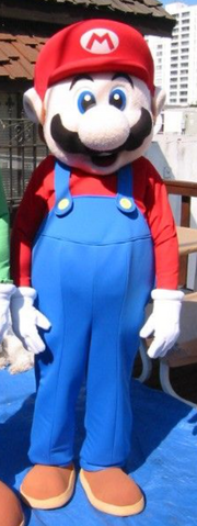 MarioCostume4